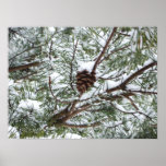 Snowy Pine Cone Print