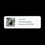 Snowy Pine Cone Return Address Label