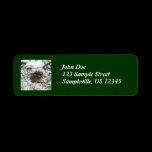 Snowy Pine Cone Return Address Label
