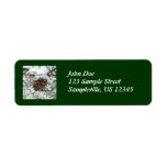 Snowy Pine Cone Return Address Label