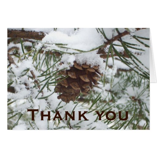 Snowy Pine Cone Thank You Card Zazzle