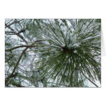 Snowy Pine Needles Card