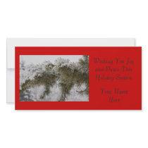 Snowy Pine Photocard by donnierocky Snowy Pine Photocard