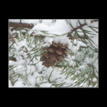 Snowy Pinecone Postcard