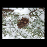 Snowy Pinecone Print