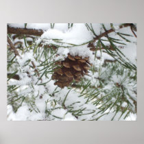 Snowy Pinecone Print