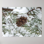 Snowy Pinecone Print