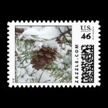 Snowy Pinecone Stamp