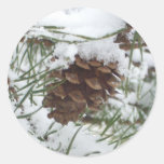Snowy Pinecone Sticker
