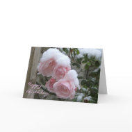 snowy pink rose, Happy Birthday! card