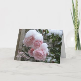 snowy pink rose, Happy Birthday! card