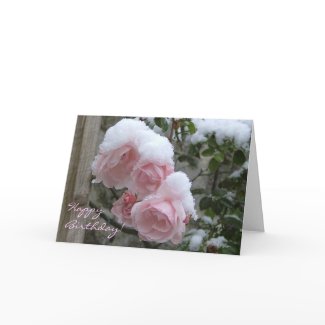 snowy pink rose, Happy Birthday! card