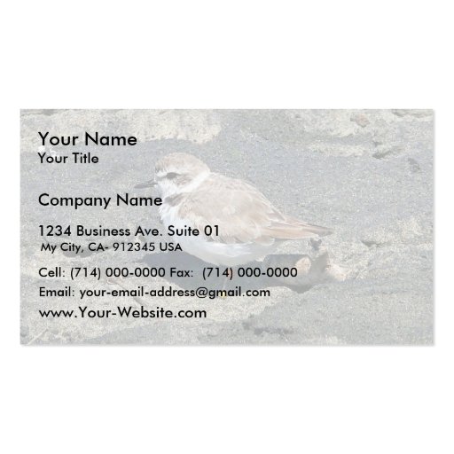 Snowy plover business card template (front side)