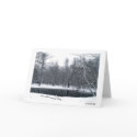 Snowy Pond cards
