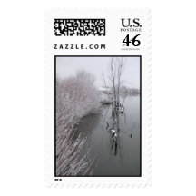 Snowy pond postage stamp