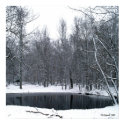 snowy Pond posters by StarLily snowy Pond posters
