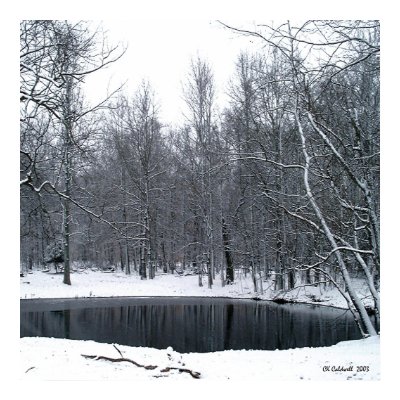 snowy Pond Posters by StarLily