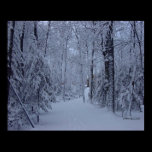 Snowy Road Home posters