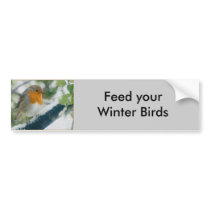 Snowy Robin Bumper Sticker