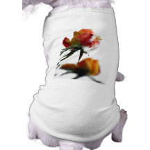 Snowy Rose Dog Tee