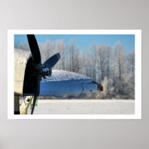 Snowy Sea Bee Posters