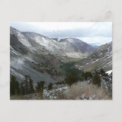 Snowy Sierra Nevadas Postcard postcard