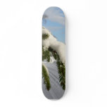 Snowy Spruce Branch Skate Deck