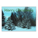 Snowy Spruce cards by nmpics Snowy Spruce cards