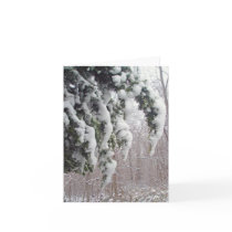 Snowy Spruce Note Card