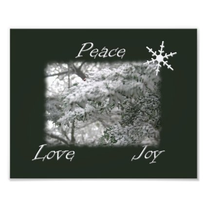 Snowy Spruce Tree / Peace Love Joy Photo Print