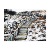 Snowy Staircase Postcard