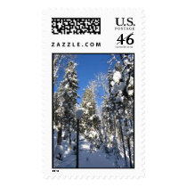 Snowy Stamp