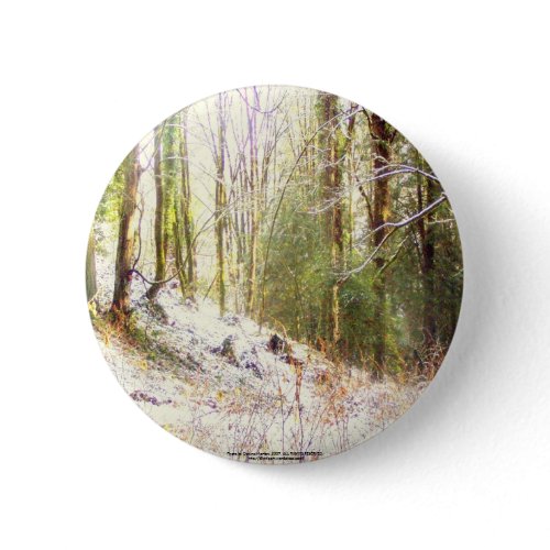 Snowy Sunlit Forest Glade #2 button