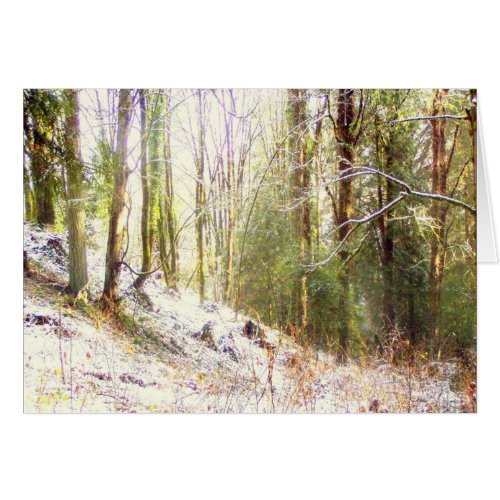 Snowy Sunlit Forest Glade #2 card