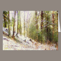 Snowy Sunlit Forest Glade #2 cards