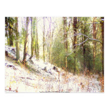 Snowy Sunlit Forest Glade #2 Invites