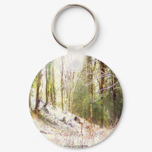 Snowy Sunlit Forest Glade #2 keychain