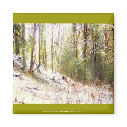 Snowy Sunlit Forest Glade #2 magnet