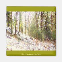 Snowy Sunlit Forest Glade #2 Magnets