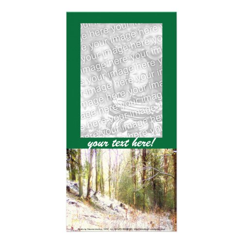 Snowy Sunlit Forest Glade #2 photocard
