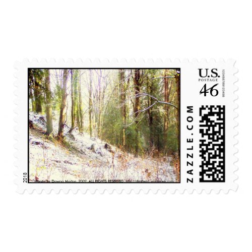 Snowy Sunlit Forest Glade #2 stamp
