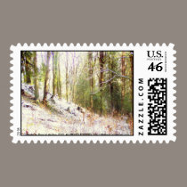 Snowy Sunlit Forest Glade #2 stamps