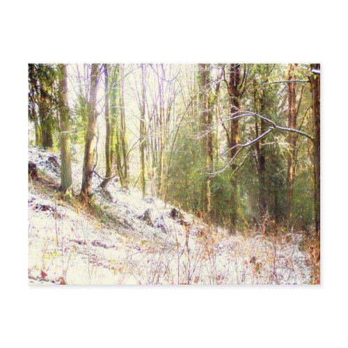 Snowy Sunlit Forest Glade #2 postcard