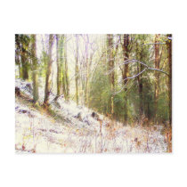 Snowy Sunlit Forest Glade #2 Postcards