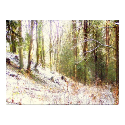 Snowy Sunlit Forest Glade #2 print