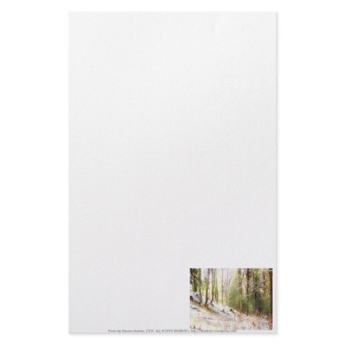 Snowy Sunlit Forest Glade #2 stationery