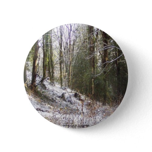 Snowy Sunlit Forest Glade button