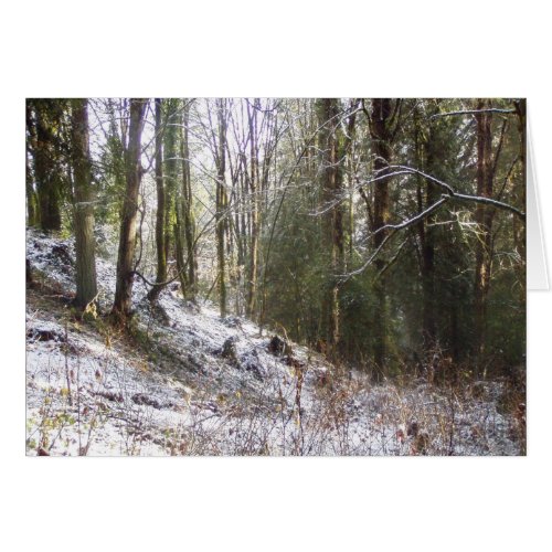 Snowy Sunlit Forest Glade card