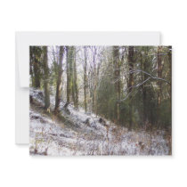 Snowy Sunlit Forest Glade invitations by dlmtleArt Snowy Sunlit Forest Glade invitations