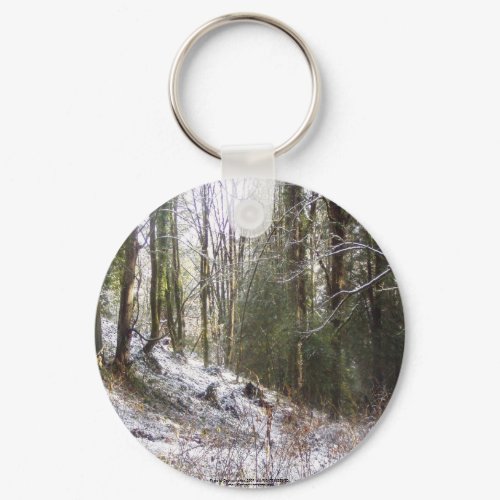 Snowy Sunlit Forest Glade keychain